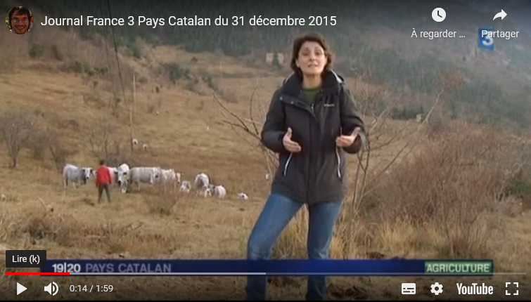 Journal France 3 Pays Catalan du 31 décembre 2015
